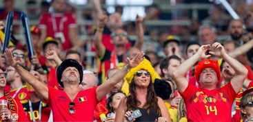 球迷们激动欢呼