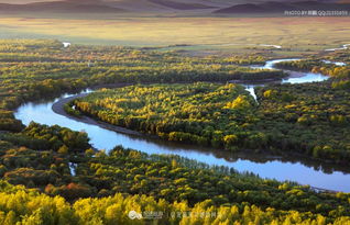 我的额尔古纳河：流淌在记忆与现实之间的母亲河