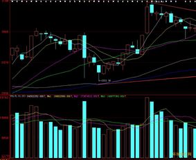 投资者查看股票行情