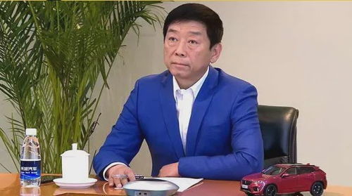 魏建军与高山MPV