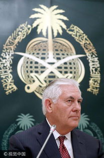 沙特国王会见外国领导人