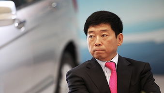 魏建军在发布会现场介绍高山车型