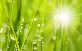 第二天：探险开始