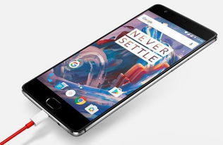 一加13手机拍摄样张示例图