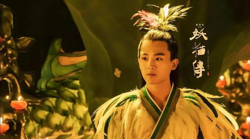 藏海传张本：微博热搜背后的真相与热议风暴