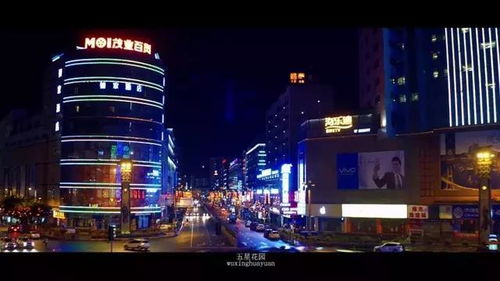 一个人的深夜，我听见了‘寂寥’的声音