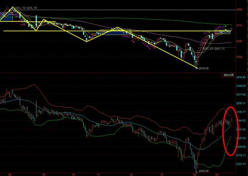 股市上涨走势图