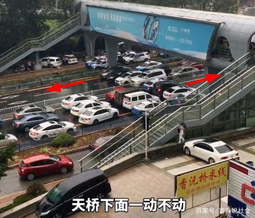 桥下躲冰雹致堵车该不该担责？法律与人性的边界探讨