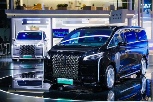 魏牌高山在车展上的实拍图