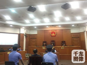 上海市法院以间谍罪判处日本男子12年，外交部回应引热议