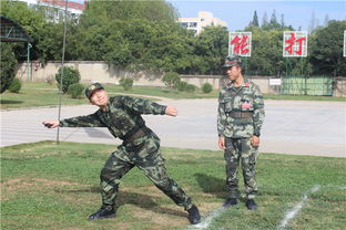 陈梦在训练场上认真练习