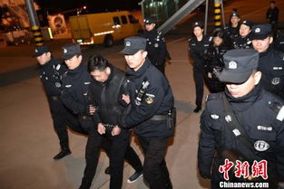 警方将涉案夫妻依法带走调查