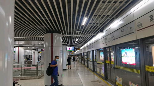 地铁、电梯频发猥亵事件：公共安全谁来守护？