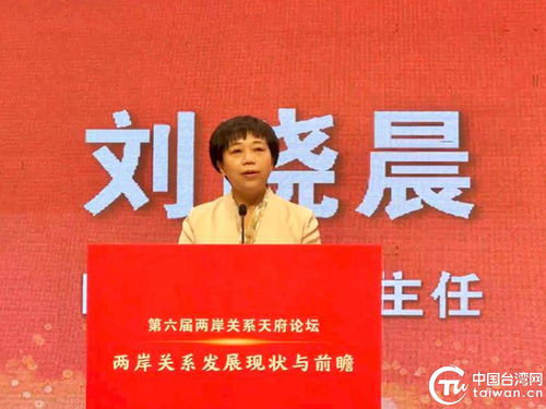 两岸关系发展现状分析图示