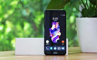 上市半年 6.9 折腰斩：一加 13 手机 24GB+1TB 版国补后 4170 元新低