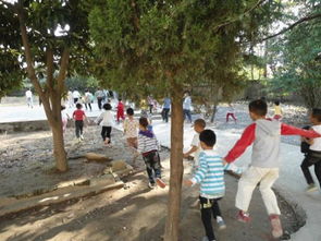 学校操场与学生安全事件相关新闻截图