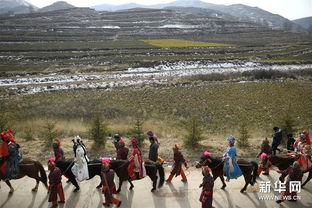 《黄土高坡》演出场景