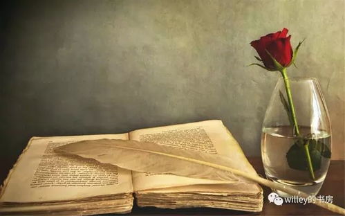 阳光洒在书本上象征希望