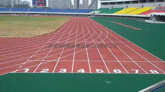 操场高温下的地面特写