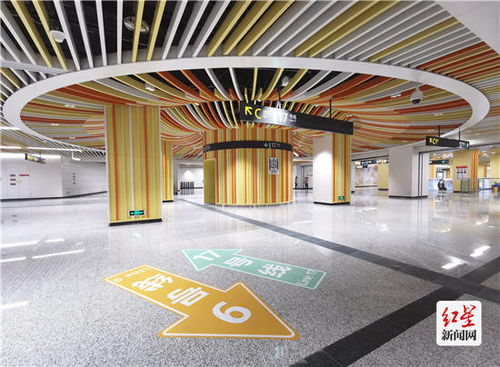 锦绣芳华概念图展示