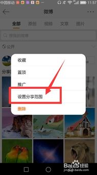 手机屏幕显示微博隐私设置界面