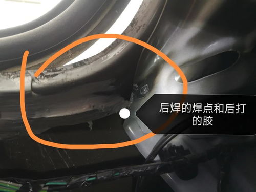 从零开始坚持绘画，我用365天改变了人生轨迹