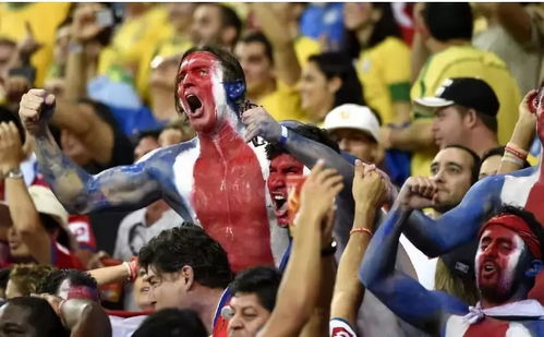 球迷在手机上看怀特精彩瞬间