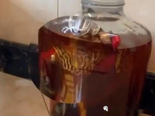 我和母亲一起泡酒