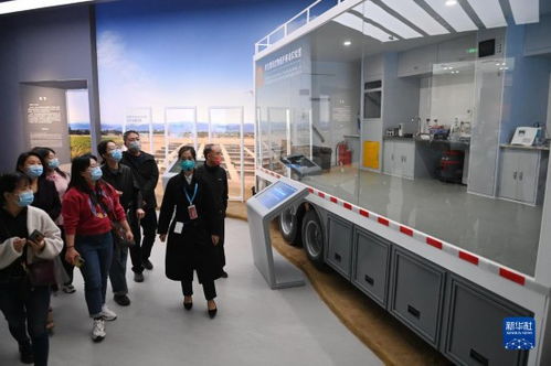 博物馆内游客参观古代文物场景