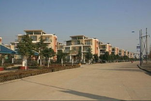 中央指导组进驻当天，两名干部顶风作案！背后真相令人震惊