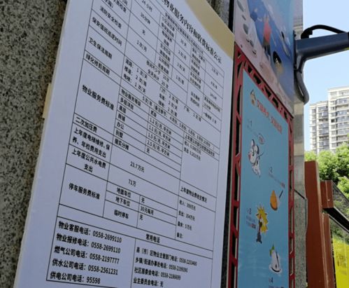 广东一村结婚奖1万 秒到账｜结婚+生娃最高可领10万元，网友：求落户！