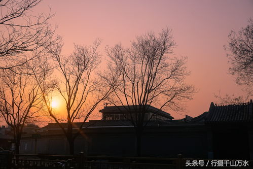 夕阳下的古寺与飞鸟