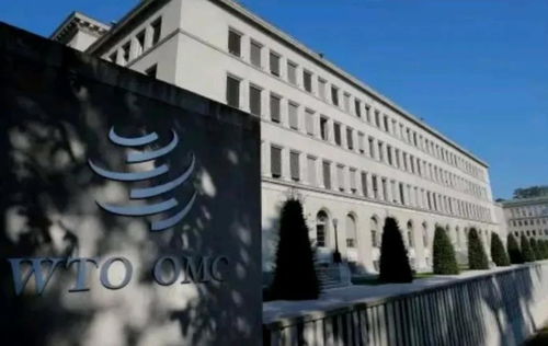 两位年轻创始人站在公司总部大楼前合影