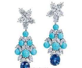 女演员戴230万耳环引热议，其父为公务员？知情人：辞去公职已8年