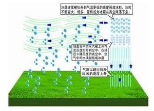 冰雹形成原理示意图
