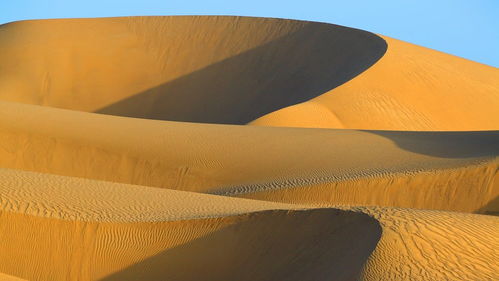 高温天气下黑色塑胶地面温度测试