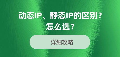 静态住宅IP vs 动态IP：哪类IP更适合你的业务需求？