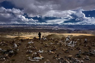 《大风杀》：一场被时代沙暴掩埋的人性寓言