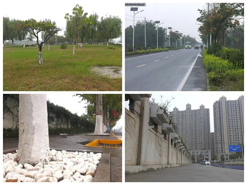 居民小区内冰雹堆积地面实景图