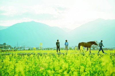 芒果一口气宣了88部大剧，网友：这是要霸屏的节奏？