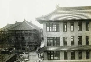 董袭莹协和4+4入学资格造假风波：名校光环背后的学历争议