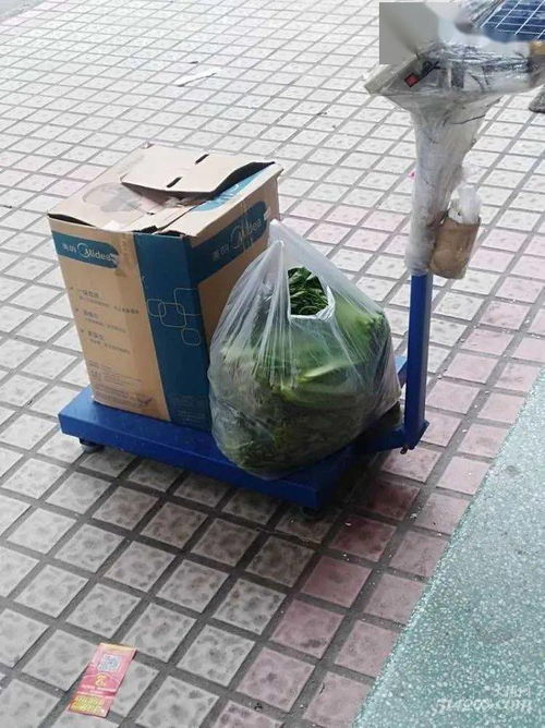 工作人员用塑料筐救助鸳鸯宝宝