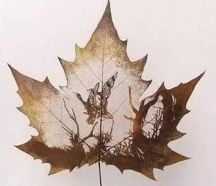 叶子也能成为艺术珍品？我亲历叶雕的震撼与魅力