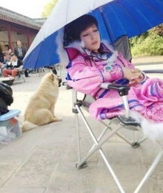 刘晓庆税务风波再掀热议，2031万税款背后隐藏了什么？