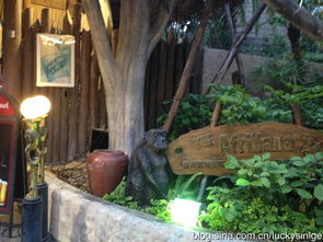 中餐厅去非洲了？我亲历这场文化美食奇遇，原来非洲人也爱宫保鸡丁！