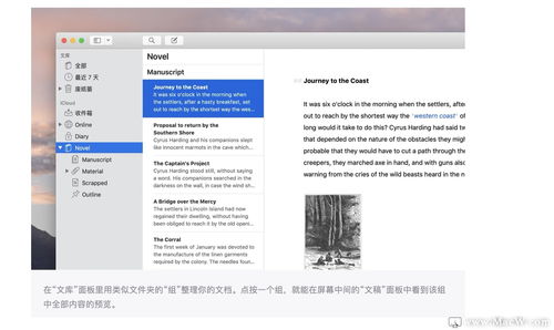 电脑屏幕前的年轻人专注写作