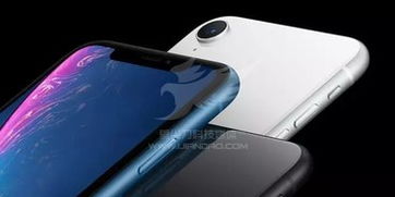 特朗普喊话苹果：别去印度！背后隐藏的制造业博弈