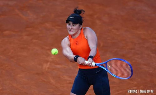 郑钦文与萨巴伦卡对打瞬间