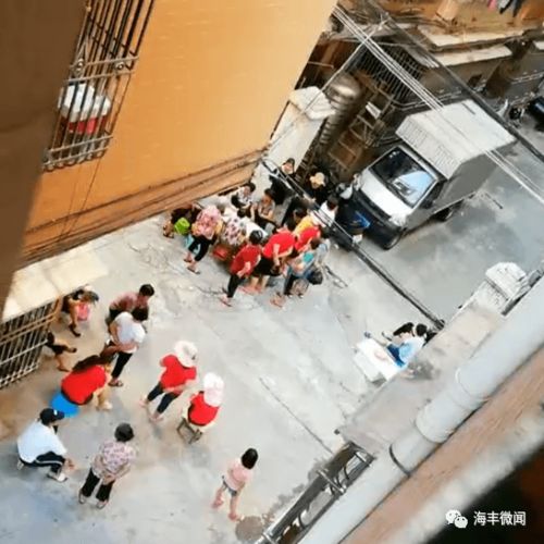 居民在小区楼下围观并拍摄怪鸟