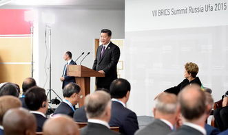 中巴领导人共同出席金砖国家峰会